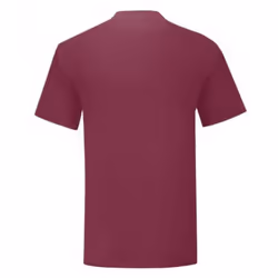 Fruit Of The Loom Mens Iconic T-Shirt - XL, Burgundy