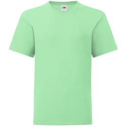 Fruit Of The Loom Childrens/Kids Iconic T-Shirt - 12-13 Years, Neo Mint