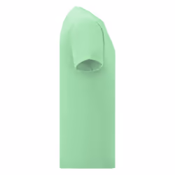 Fruit Of The Loom Mens Iconic T-Shirt - L, Neo Mint