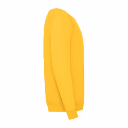 Fruit Of The Loom Childrens Unisex Raglan Sleeve Sweatshirt - 12-13, Sunflower