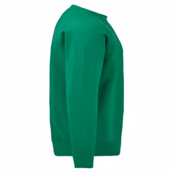Fruit Of The Loom Mens Raglan Sleeve BelcoroÂ® Sweatshirt - XL, Heather Green