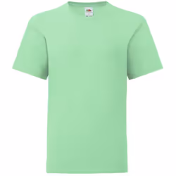 Fruit Of The Loom Childrens/Kids Iconic T-Shirt - 3-4 Years, Neo Mint