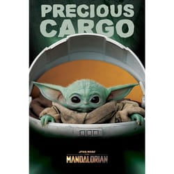 Star Wars The Mandalorian Precious Cargo Poster
