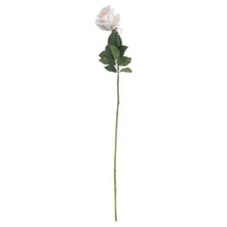 Hill Interiors Artificial Single Stem Tea Rose - 65cm, Palest Pink
