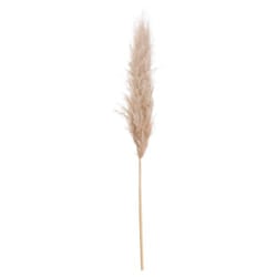 Hill Interiors Artificial Single Stem Pampas Grass - One Size, Butter