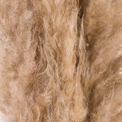 Hill Interiors Artificial Single Stem Pampas Grass - One Size, Butter
