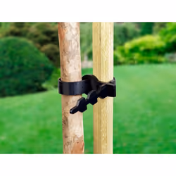 Ambassador Tree Tie