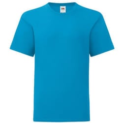 Fruit Of The Loom Childrens/Kids Iconic T-Shirt - 12-13 Years, Azure