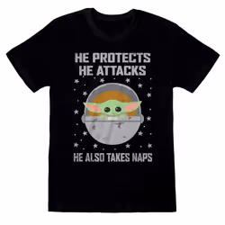 Star Wars: The Mandalorian Unisex Adult Protects And Attacks T-Shirt - XL, Black