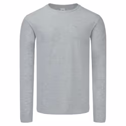 Fruit of the Loom Mens Iconic 150 Long-Sleeved T-Shirt - M, Grey Heather