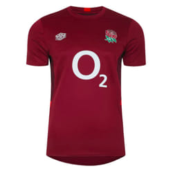 2023-2024 England Rugby Gym Tee (Tibetan Red) - 4XL