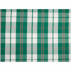 Minerva Memory Raincoat Coating Fabric Green - per metre