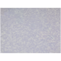 Minerva 100% Cotton Poplin Fabric - per metre - 3008 Lilac
