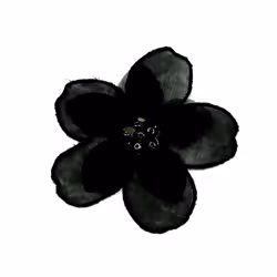 Patch Motif Organza Flower Black - each