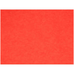 Minerva 100% Cotton Poplin Fabric - per metre - 1304 Deep Orange