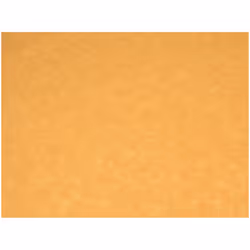 Minerva 100% Cotton Poplin Fabric - per metre - 708 Pale Rust