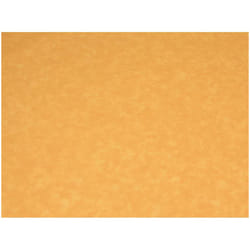 Minerva 100% Cotton Poplin Fabric - per metre - 708 Pale Rust
