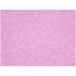 Minerva 100% Cotton Poplin Fabric - per metre - 301 Pale Rose Pink