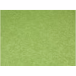 Minerva 100% Cotton Poplin Fabric - per metre - 612 Pale Leaf Green