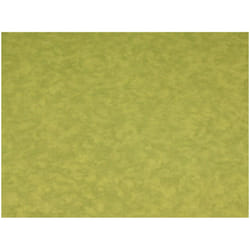 Minerva 100% Cotton Poplin Fabric - per metre - 613 Olive Green
