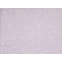 Minerva 100% Cotton Poplin Fabric - per metre - 3000 Pale Lilac