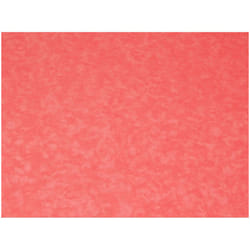 Minerva 100% Cotton Poplin Fabric - per metre - 2016 Salmon Pink