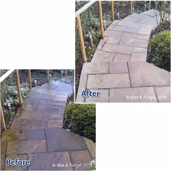 Wet & Forget Mould, Lichen & Algae Remover, Outdoor Cleaning Solution, Black Mould Remover, Bleach Free, 5 Litre