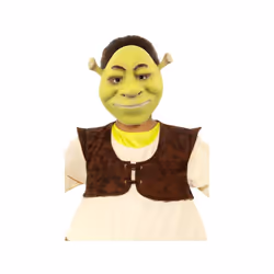 Childrens Shrek Face Mask