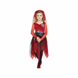 Womens Dark Spirit Warrior Fancy Dress Costume (Size 16-18)