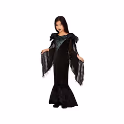 Girls Deluxe Raven Princess Fancy Dress Costume (Age 4-6)