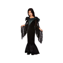 Girls Deluxe Raven Princess Fancy Dress Costume (Age 4-6)
