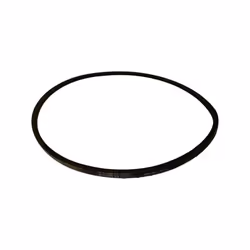 1119032-Genuine Replacement Belt