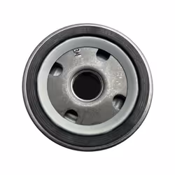 1265013-Genuine Replacement Oil Filter