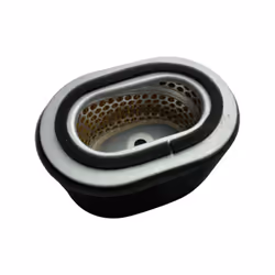 1275136-Genuine Air Filter Element