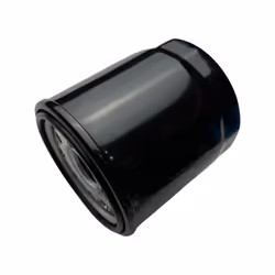 1025134-Genuine Replacement Oil Filter Assembly