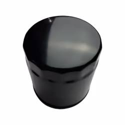 1025134-Genuine Replacement Oil Filter Assembly