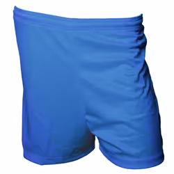 Precision Unisex Adult Micro-Stripe Football Shorts - S, Royal Blue