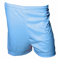 Precision Unisex Adult Micro-Stripe Football Shorts - S, Sky Blue