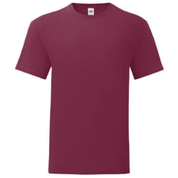Fruit of the Loom Mens Iconic 150 T-Shirt - S, Burgundy