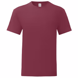 Fruit of the Loom Mens Iconic 150 T-Shirt - 2XL, Burgundy