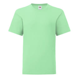 Fruit of the Loom Childrens/Kids T-Shirt - 12-13 Years, Mint Green