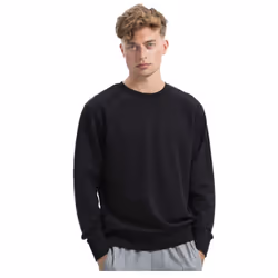 Mantis Unisex Adult Sweatshirt - XS, Black