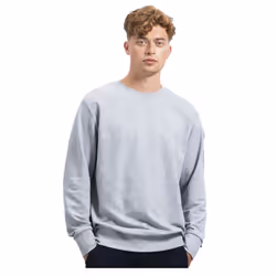 Mantis Unisex Adult Sweatshirt - XS, Grey Heather