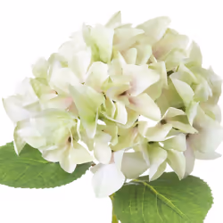 Hill Interiors Shabby Hydrangea Artificial Flower - One Size, Green