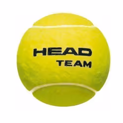 Head Team Tennis Balls (Pack of 12)