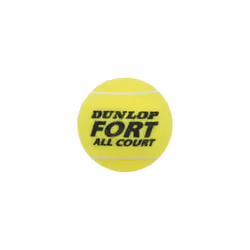 Dunlop Fort All Court Tennis Balls (Pack Of 4)