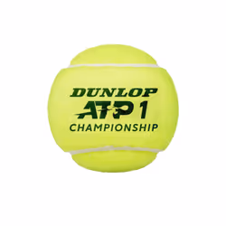 Dunlop ATP Championship Tennis Balls (Pack of 4)