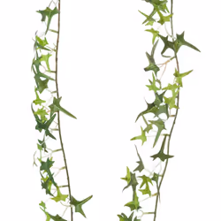 Hill Interiors Ivy Garland