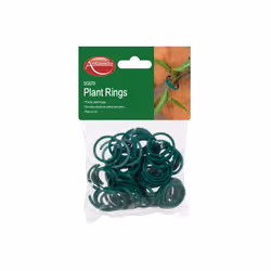 Ambassador Plant Rings (Pack of 50)