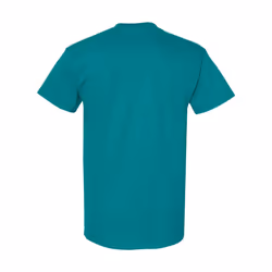 Gildan Mens Heavy Cotton Short Sleeve T-Shirt (Pack Of 5) - L, Antique Jade Dome